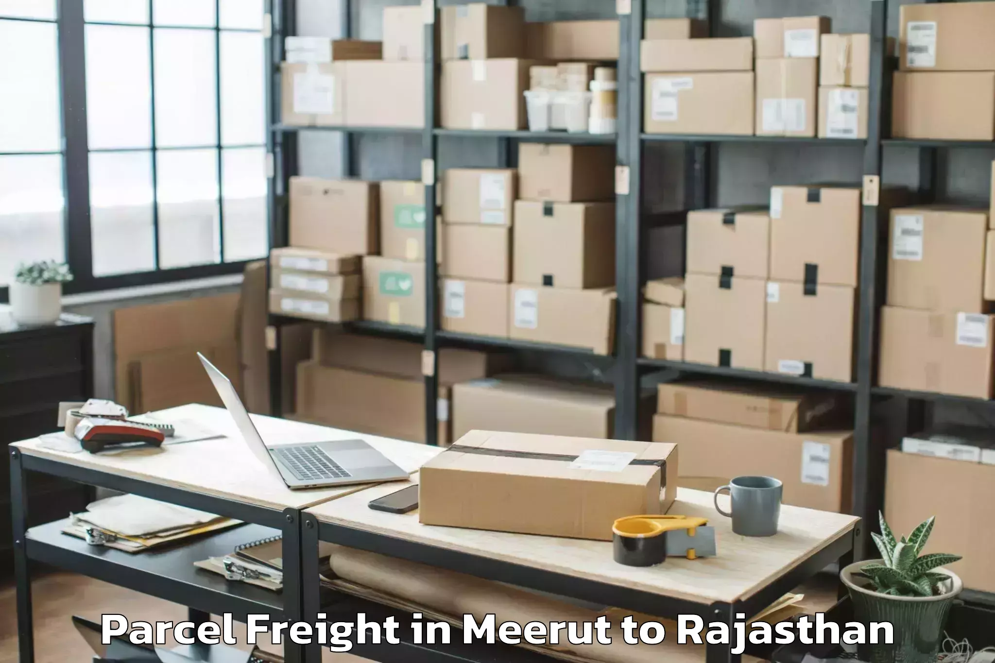 Reliable Meerut to Parbatsar Parcel Freight